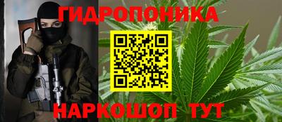 каннабис Малгобек