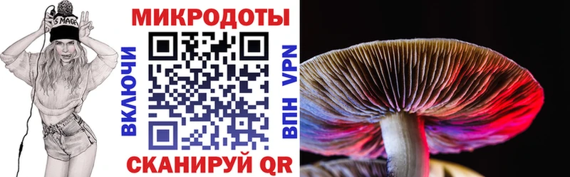 сколько стоит  Новодвинск  Галлюциногенные грибы мухоморы 