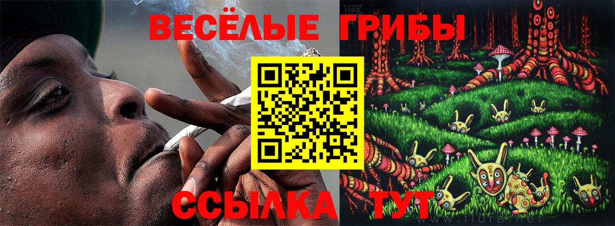 Галлюциногенные грибы прущие грибы Новодвинск