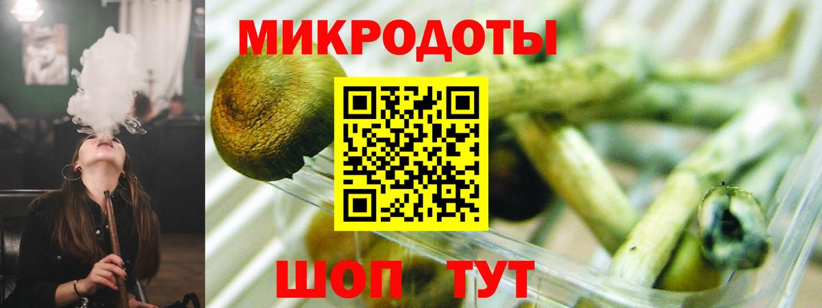 Новодвинск  наркотики  Вход с VPN  Галлюциногенные грибы GOLDEN TEACHER  Галлюциногенные грибы Magic Shrooms 